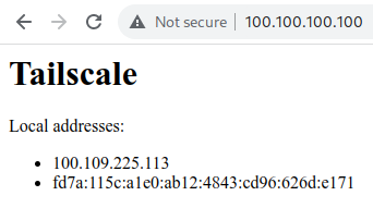 The page 100.100.100.100, open in Chrome: "Tailscale. Local Addresses: 100.109.225.113, fd7a:(rest of v6 address)"